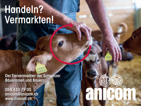 Anicom AG